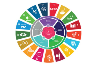 write environmental sustainability reports