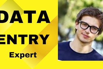 excel virtual assistant data entry copy paste typing web search convert format