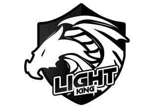 super dragon logo vector