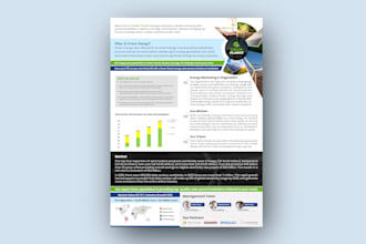 design one pager executive summary, investment teaser or business summary