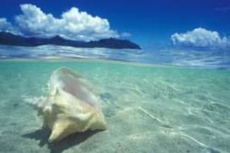send you some sand from a beach in Hawaii with photo of the beach