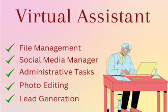 a detail oriented virtual assistant