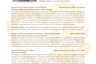 create a resume for your pet