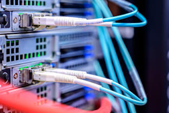 do network engineering, information security, social networking expert manager