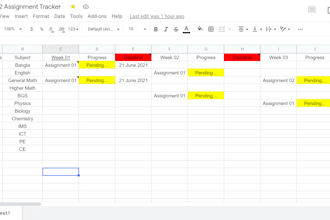 entry your data in a spreadsheet