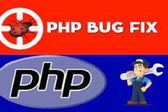 fix and debug wordpress error and issues within 1 hour