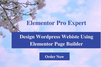be wordpress elementor woocommerce ecommerce website design expert