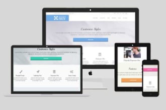 do the website development and module improvements