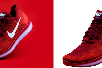 do 25 to 250 images background removal professionally