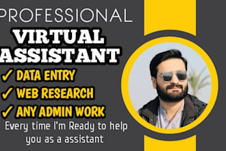 be your virtual assistant for data entry and any admin work