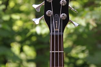write all the bass lines for you