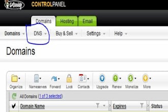 do custom domain name mapping for blog and websites