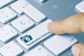 do penetration testing service