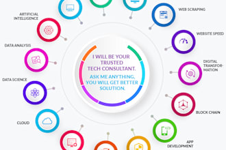 remote cto or provide tech project management and consultant