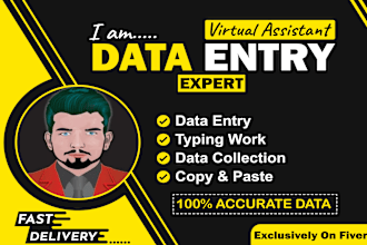 do the virtual assistant job for copy paste, data entry and typing work