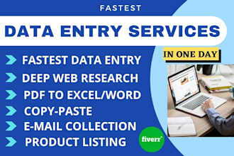 do fastest data entry in one day at a low price