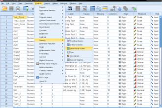 provide spss and excel data analysis and interpretation