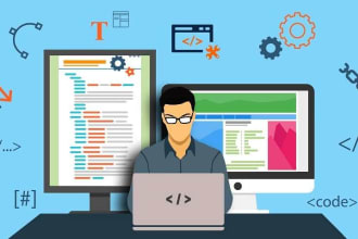 do any programming or networking project in 12 hours