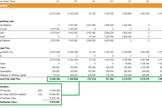 do investment appraisal,business valuation,risk management