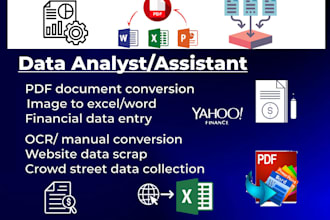 be data analyst, assistant for data entry, data extraction