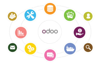 develop, customize, migrate odoo modules and database