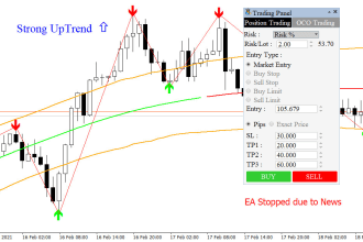 program mt4, mt5 indicator or expert advisor metatrader