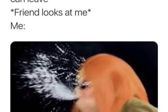 send you 10 german or english memes including your logo