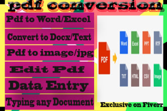 do pdf conversion excel data entry file conversion in one day