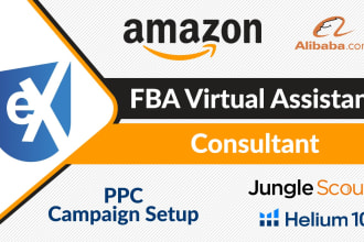 be your amazon fba consultant or mentor virtual assistant