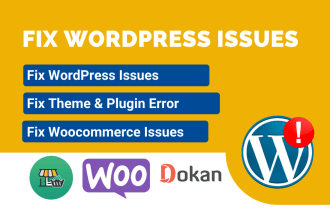 fix wordpress error, bug or issues in 2h