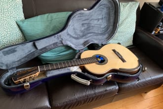 record an outstanding classical or flamenco guitar for you