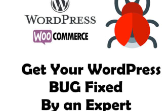 fix wordpress bugs, issues, errors or site down