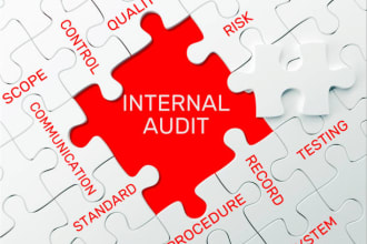 do internal and external auditing, compliance, and risk management