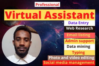 do data entry and professional virtual assistant job for your company