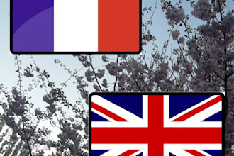 translate english to french