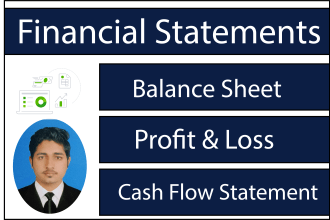 create balance sheet, profit and loss and financial statements for you