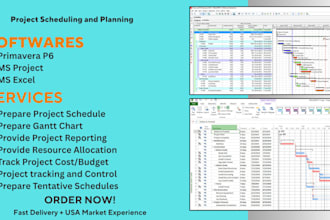 create project schedules, CPM plans, and gantt charts in primavera ms project