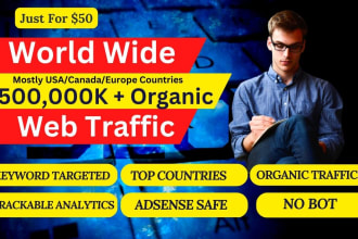 make half a million USA website traffic from google