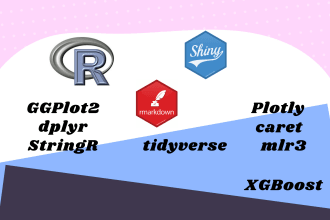 do your project in r or r markdown