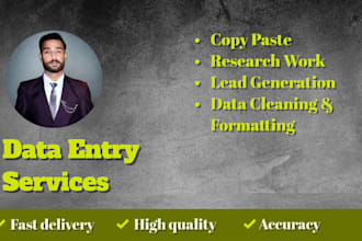 do perfect data entry, copy paste, web research and excel job