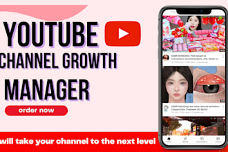 be your youtube channel growth manager to rank videos
