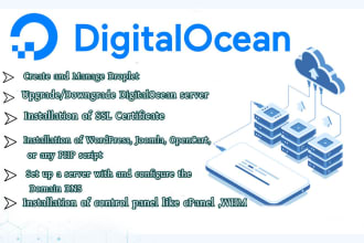 deploy your website on digital ocean vps