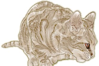 make digital illustrations, animals, plants, humans
