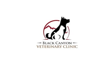 design a classy logo for a new mountain veterinary clinic