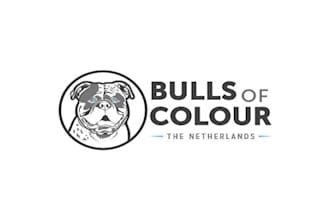create a kind looking bulldog logo