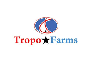 design unique lawn care, landscape and agriculture logo with new concept