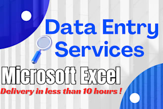 do excel data entry in just 3 hours
