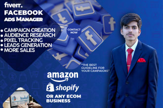 be your facebook ads manager for fb ads campaign