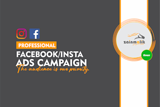setup and manage fb, insta ads campaign