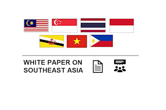 write professional white paper on southeast asia market